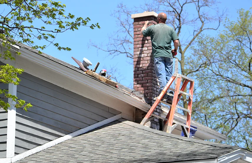 Chimney & Fireplace Inspections Services in Edwardsville, IL